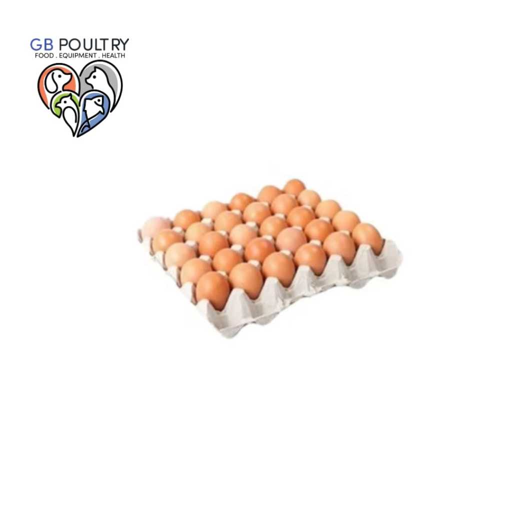 Egg tray telur puyuh kertas 1 pcs