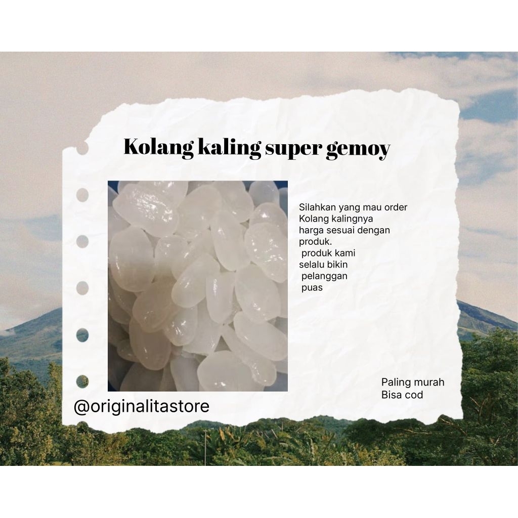 kolang Kaling super original 1 kg