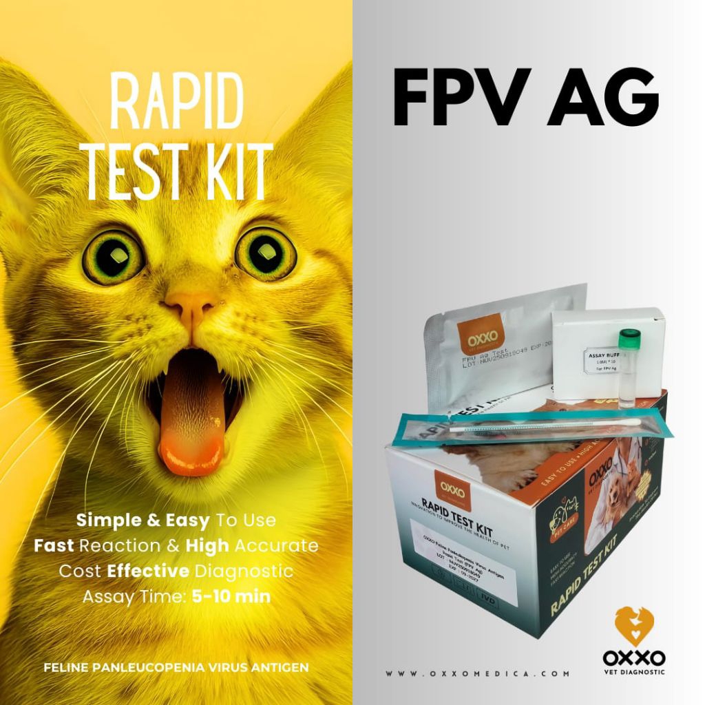 Rapid Test/Test Kit FPV Ag/ Feline Panleukopenia Virus Antigen Rapid Test