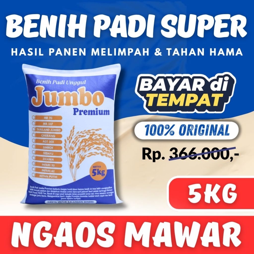 Benih padi ngaos mawar 5kg