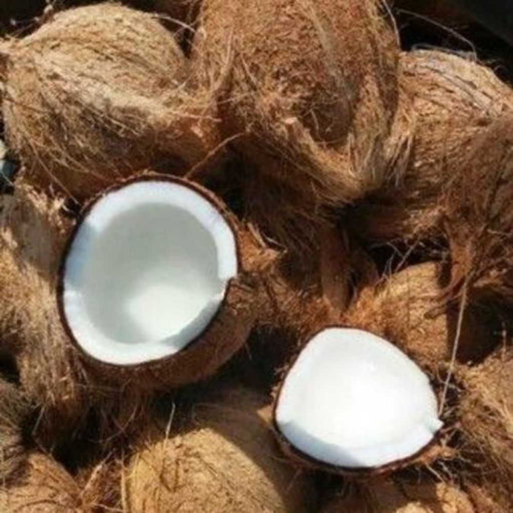 kelapa tua kupas super