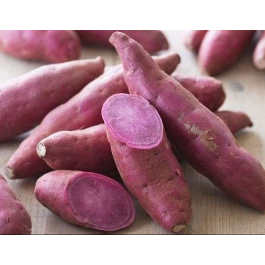 ubi ungu  / ubi cilembu 1 kg