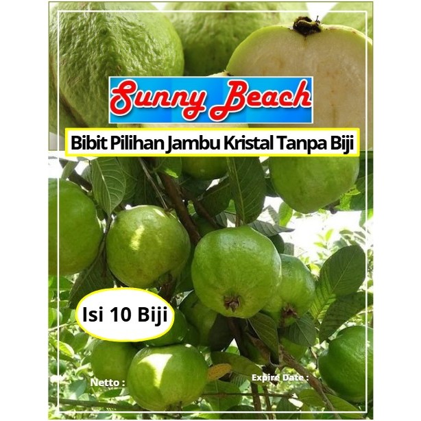 Bibit Pilihan Jambu Kristal Tanpa Biji | Biji Benih Jambu Kristal | Jambu Kristal