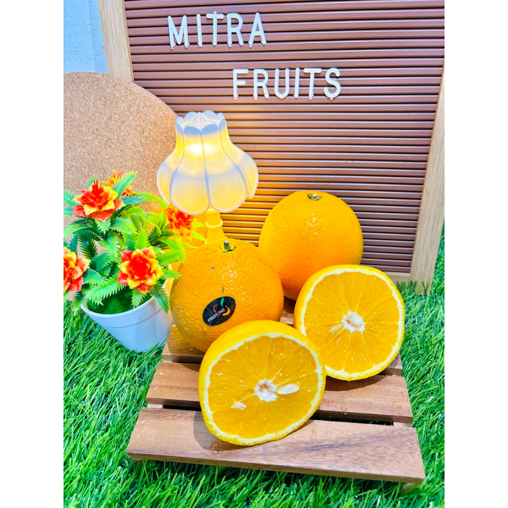 Jeruk Sunkist Impor Valencia Fresh