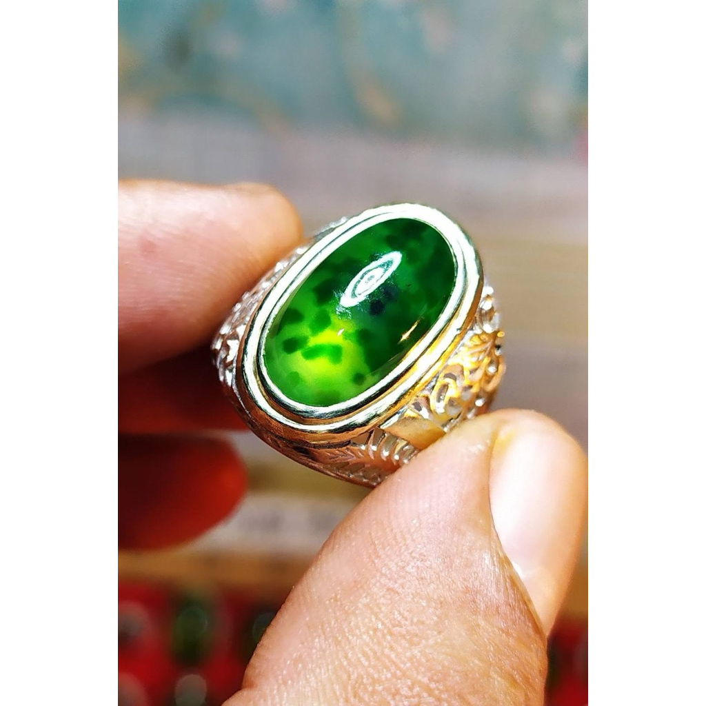 idocrase lumut kumbang jati totol sayur