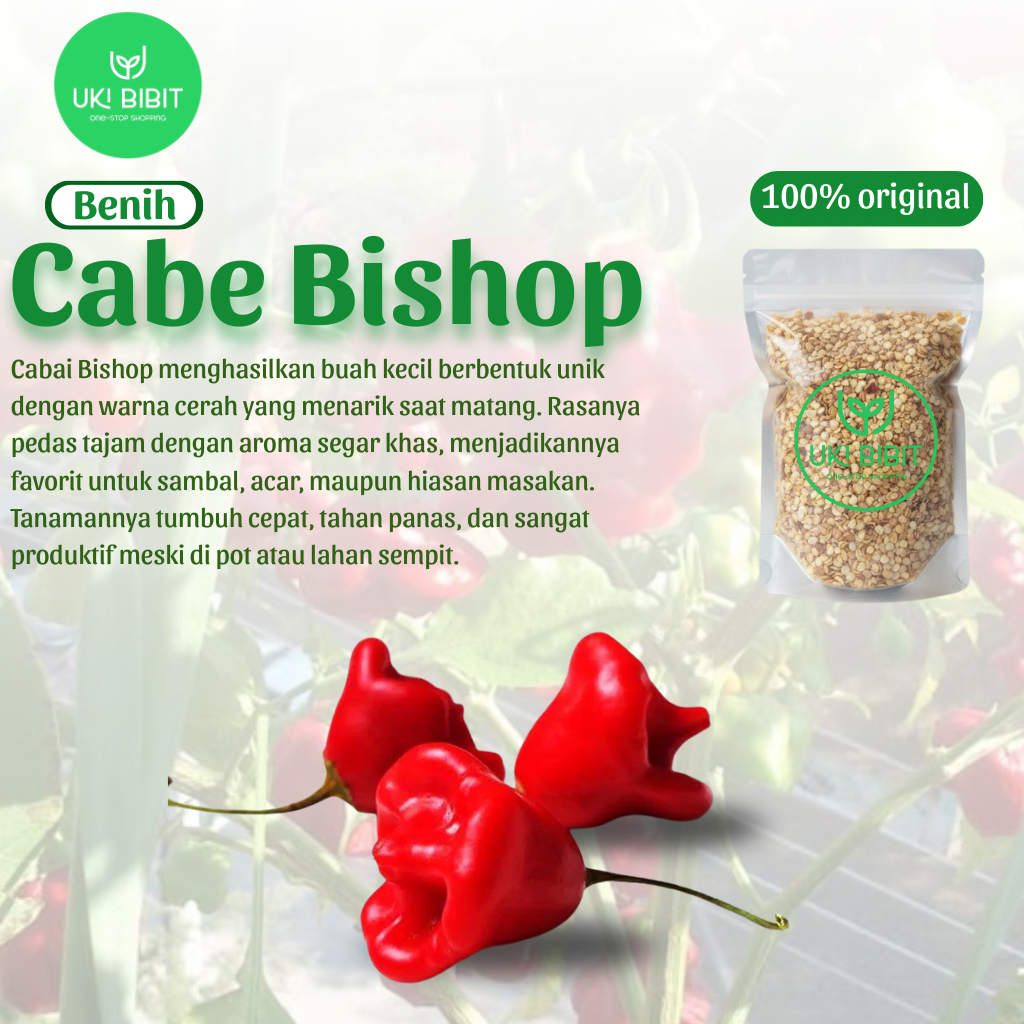 ( 3 Butir ) Benih Biji Cabe Bishop Crown | Cabe Hias Windbell
