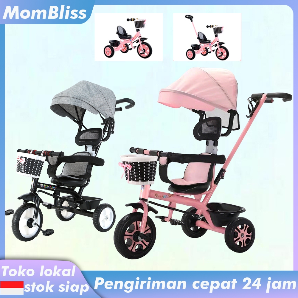 Sepeda Roda Tiga Anak Sepeda Roda 3 Bayi Tricycle Anak Sepeda Anak 1-3 Tahun