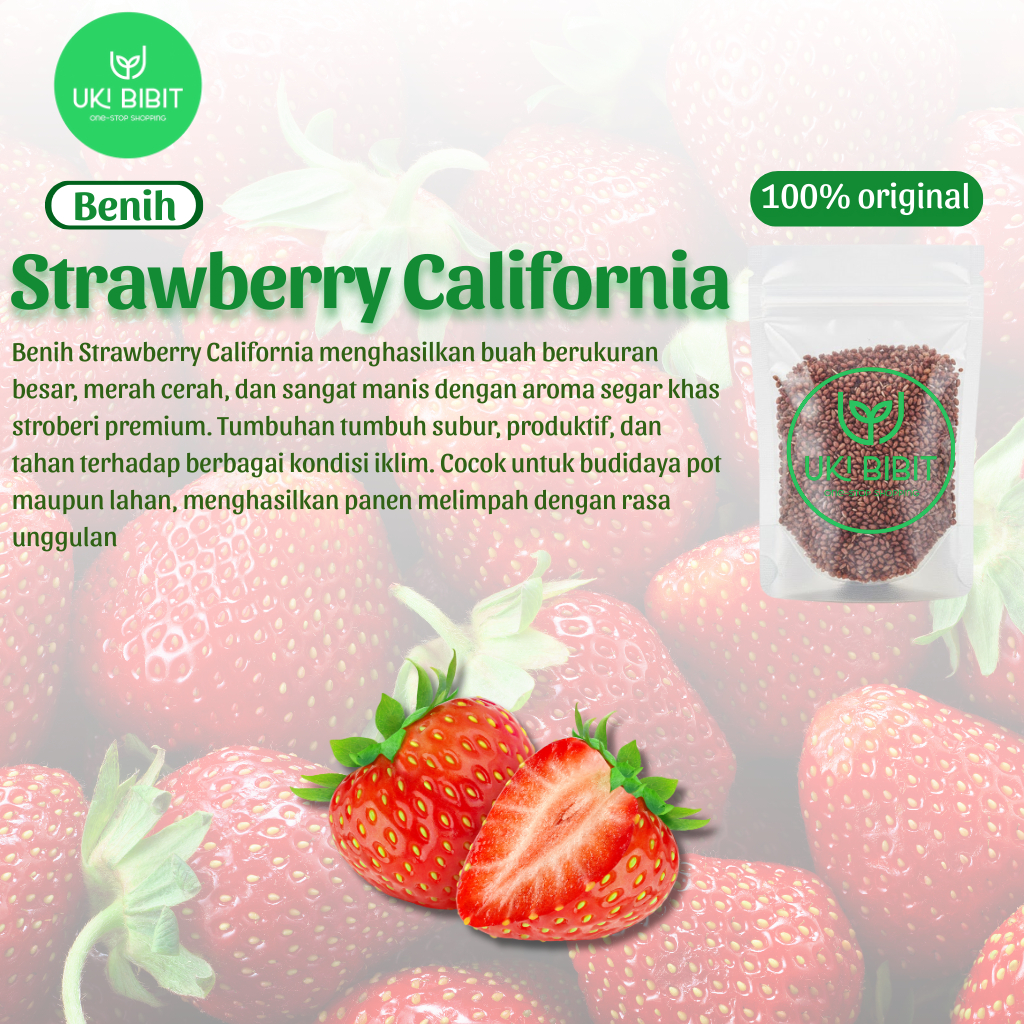 ( 10 Butir) Benih Biji Strawberry Jumbo California | Fragaria Ananassa