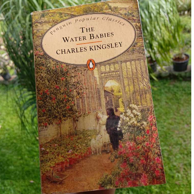 Penguin Popular Classics Charles Kingsley The Water Babies Novel Sastra Bahasa Inggris Preloved