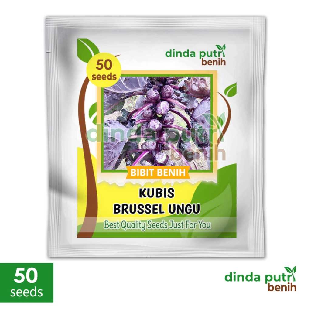 Biji benih kubis / kol mini BRUSSEL Ungu isi 50 biji kubis mini