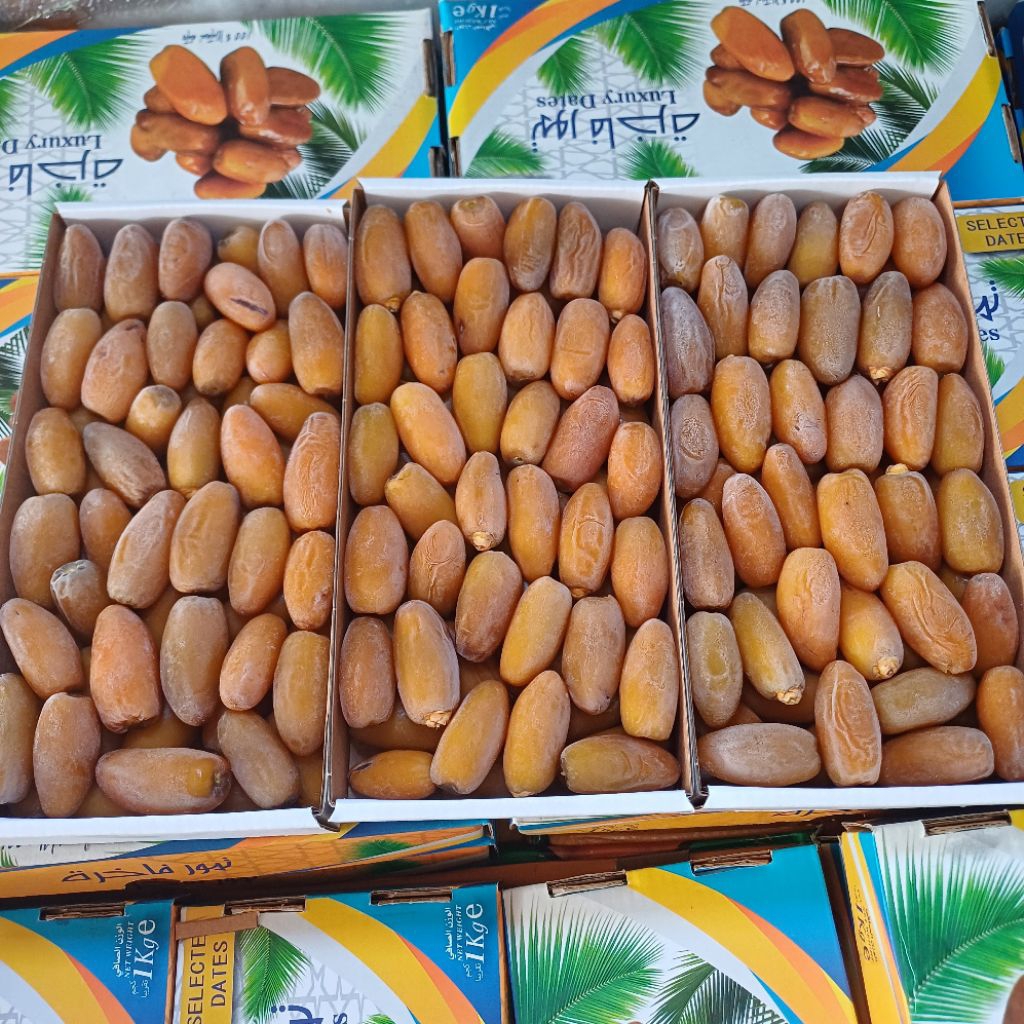Kurma frozen ruthob libya super premium luxury dates 1kg