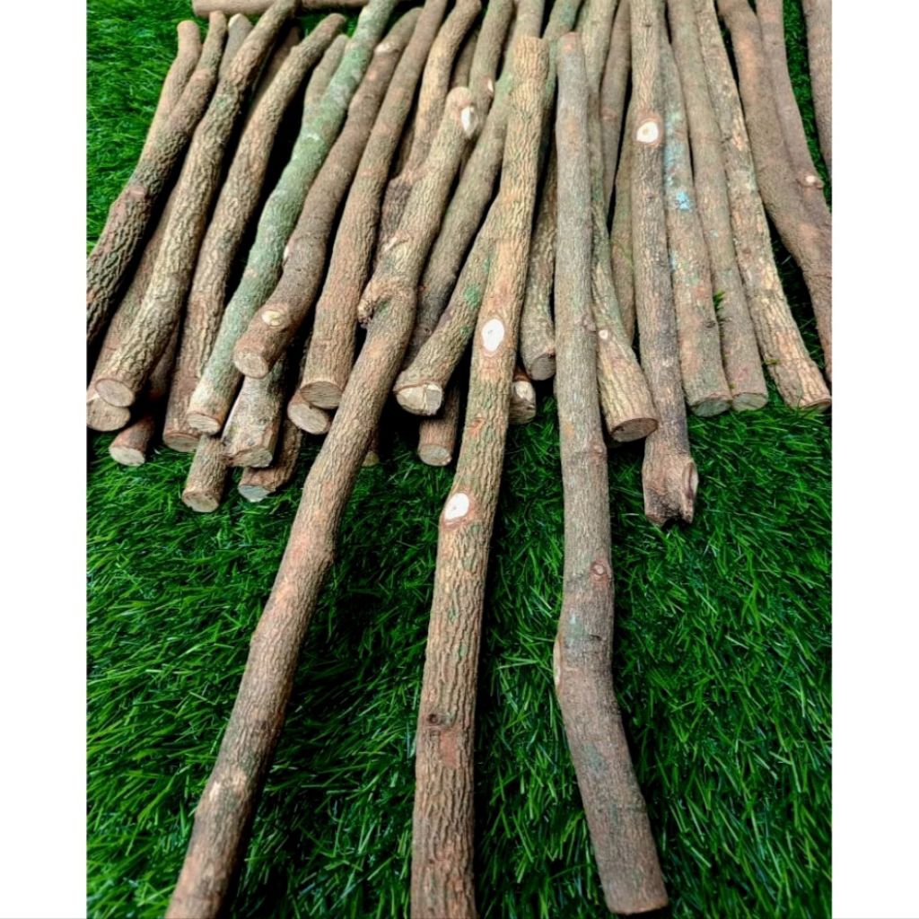 TANGKRINGAN ASEM JAWA ORI PENTET / CENDET