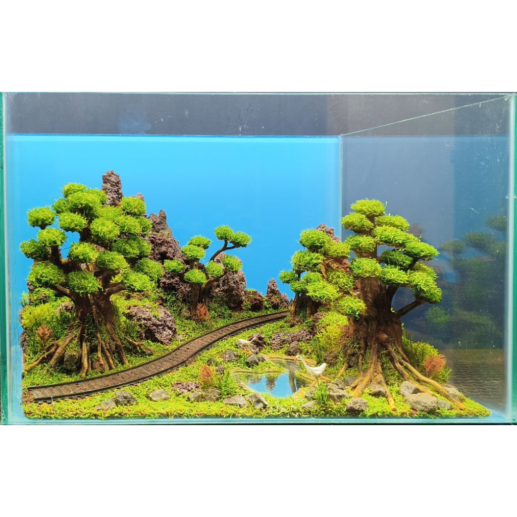 aquascape ukuran 40x25x25cm paket fullset gratis ekstra packing kayu bable warp Wraping dan sterefom