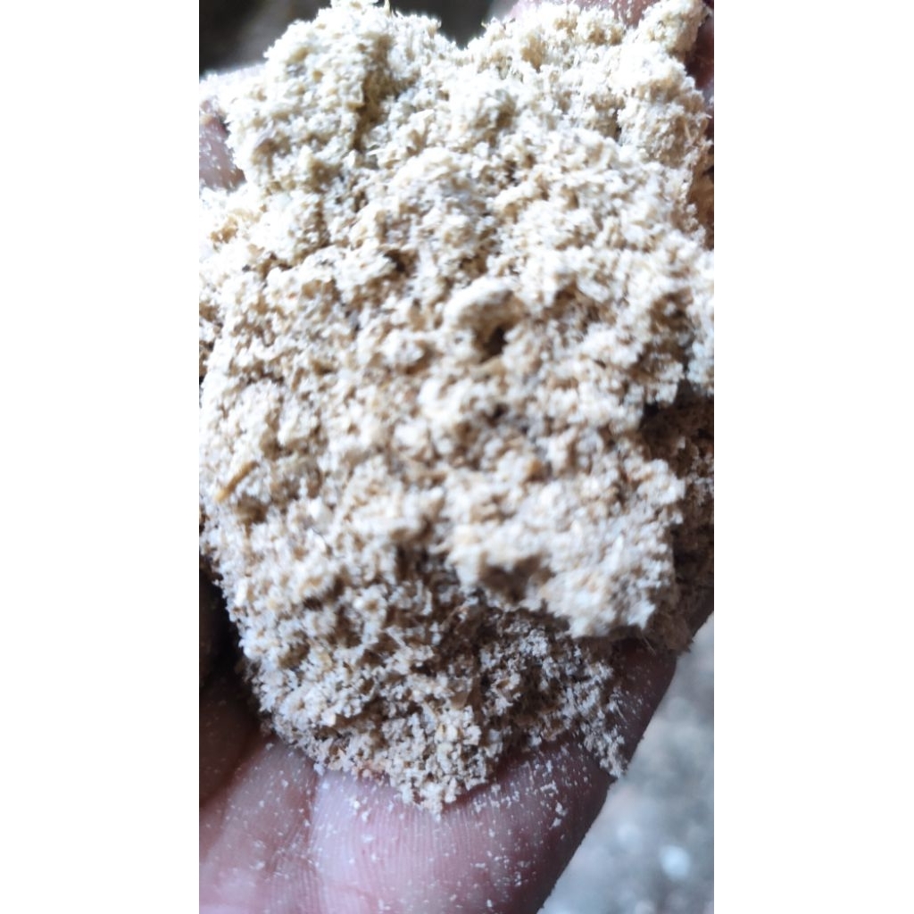 BEKATUL HALUS MENIR ASLI 1KG