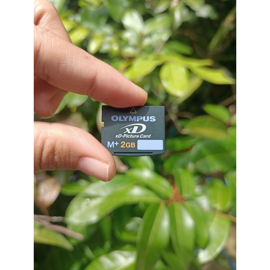 Xd card Olympus 2GB