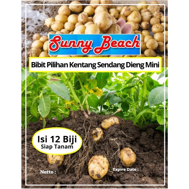 Bibit Pilihan Kentang Sendang Dieng Mini | Biji Benih Kentang Dieng | Kentang Dieng