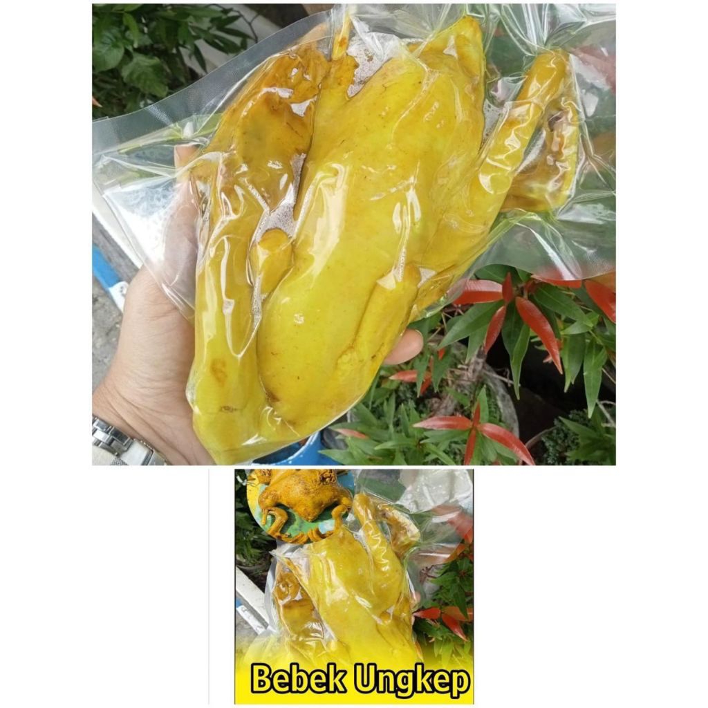 Bebek Utuh Ungkep Bumbu