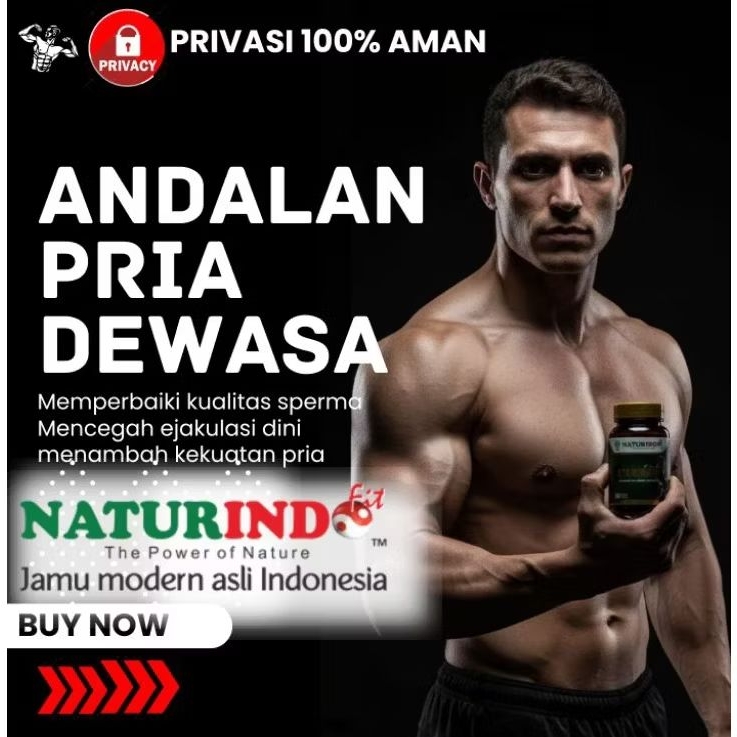 Obat Herbal Andalan Pria Dewasa Staminofit isi 50 kapsul