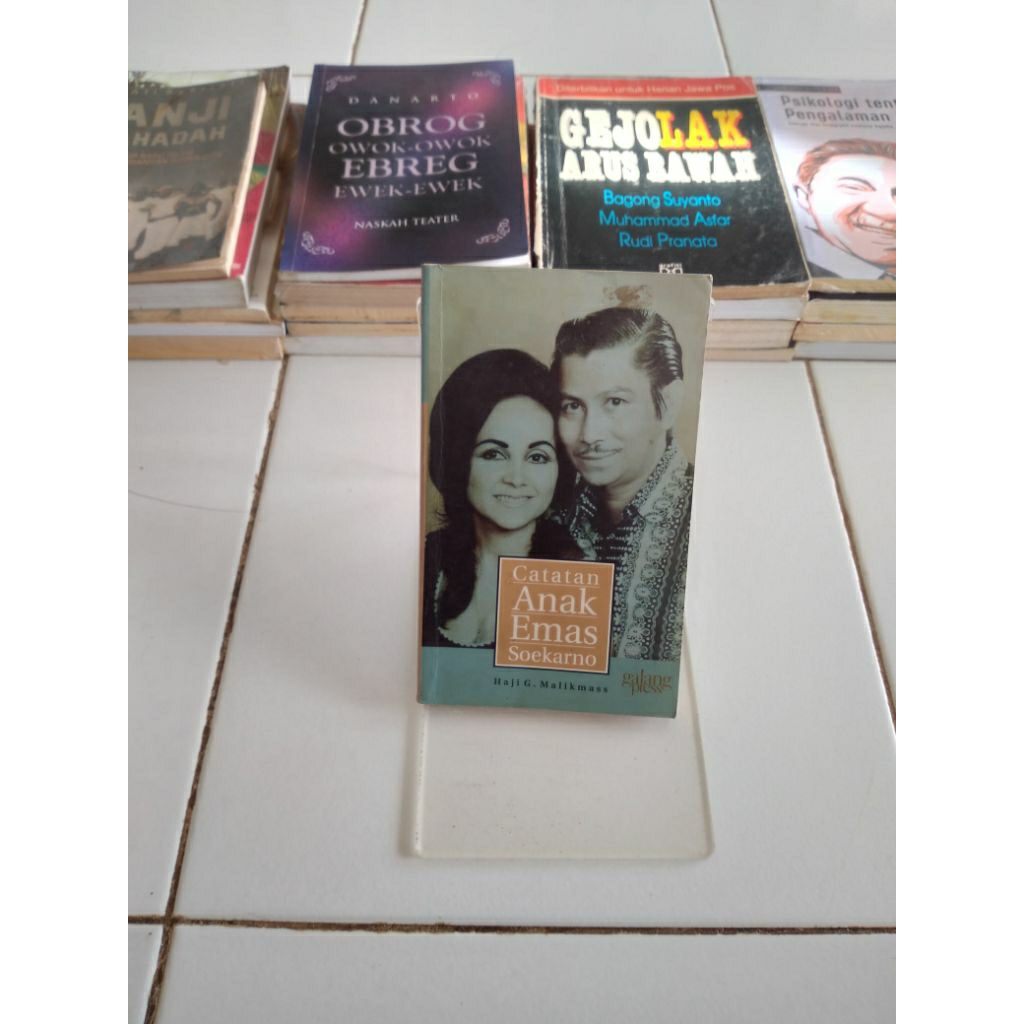 catatan anak emas soekarno