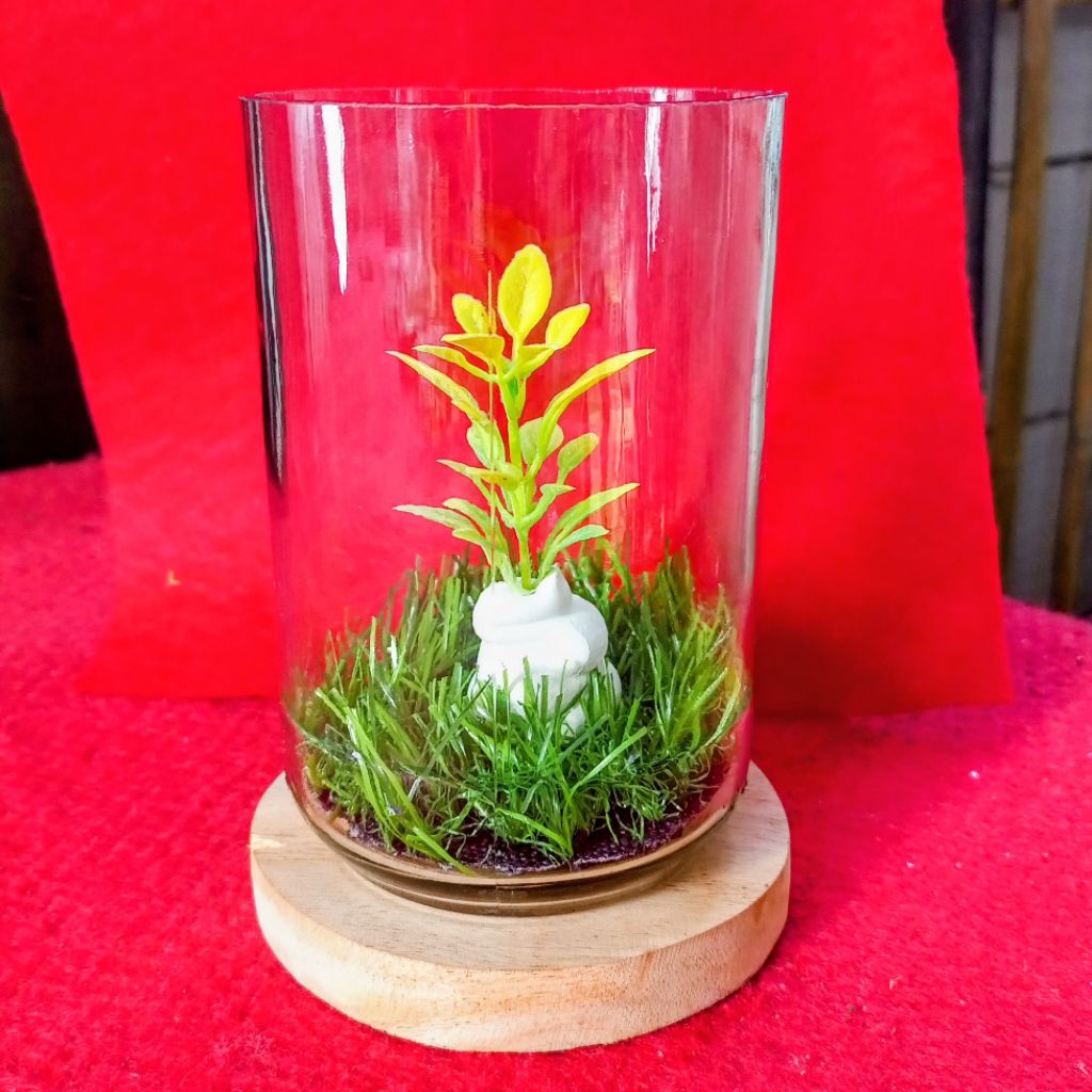 Aquarium tabung set Aquarium set aquarium cupang minimalis Akuarium murah Bekasi aquarium kaca tabun