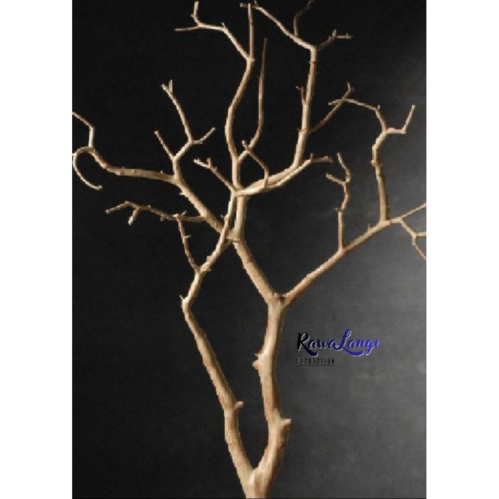 Ranting kering dekorasi rumah estetik batang pohon kupasa halus ranting pohon bercabang