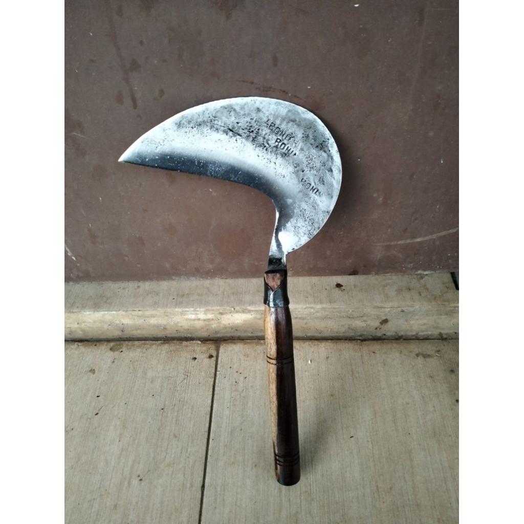 Arit Rumput Super Tajam Bonin Asli Original ( Siap Pakai )