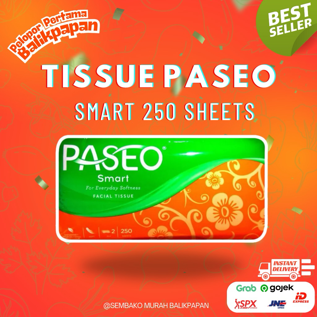 Tissu Paseo Smart 250 sheet