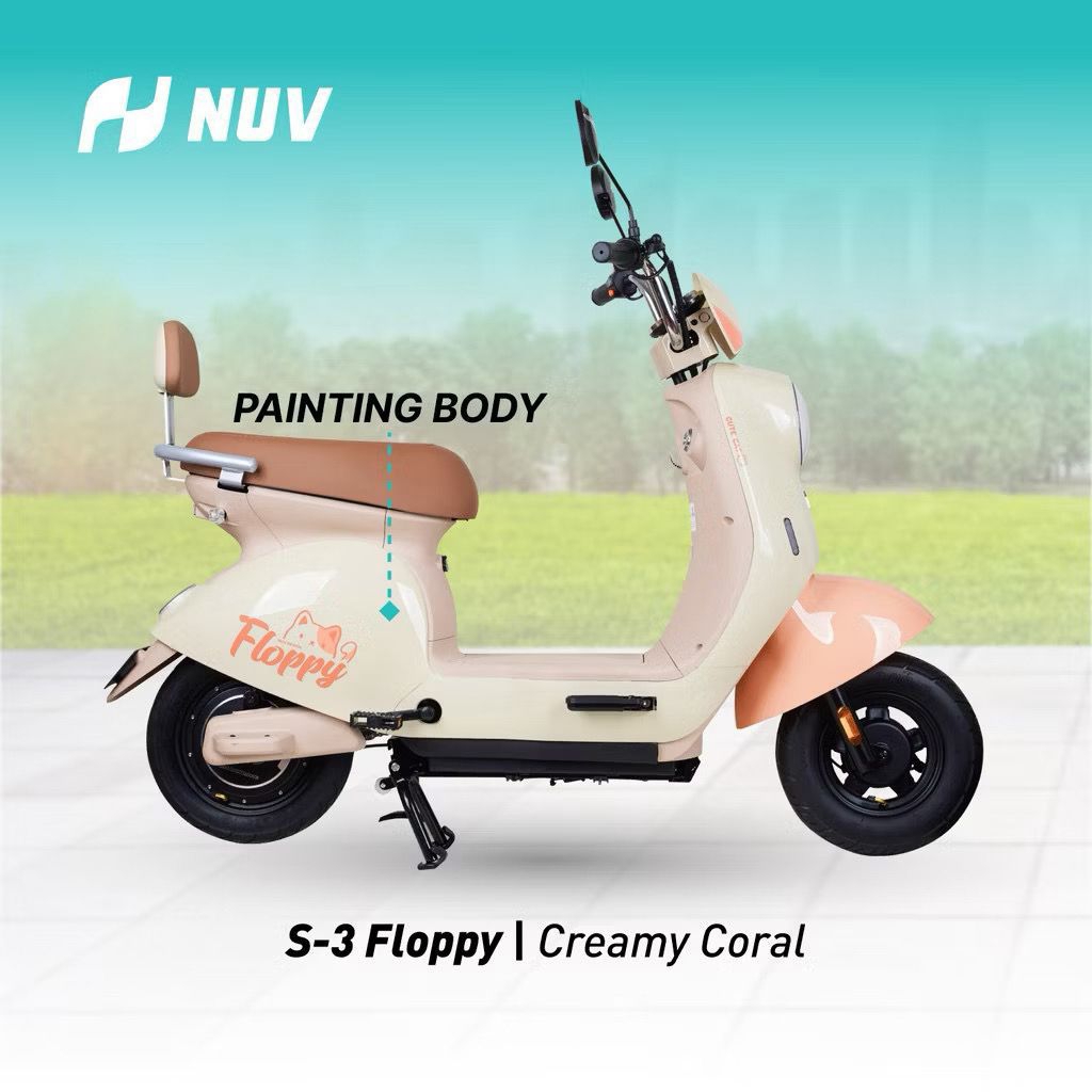 Sepeda listrik Nuv Floppy 12vt 48ah 850watt