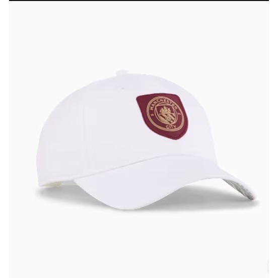 TOPI MCFC ESS Cap 025611 77