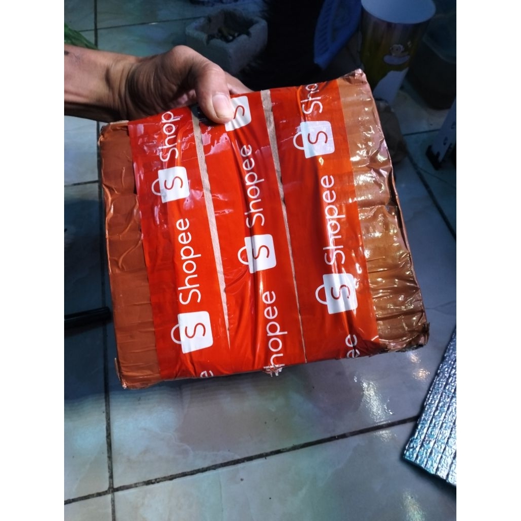 paket chana 2 ekor Warti orna kualitas