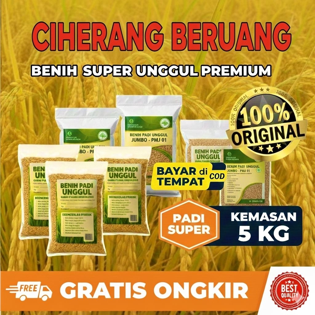 BENIH PADI 5KG CIHERANG BERUANG SUPER JUMBO