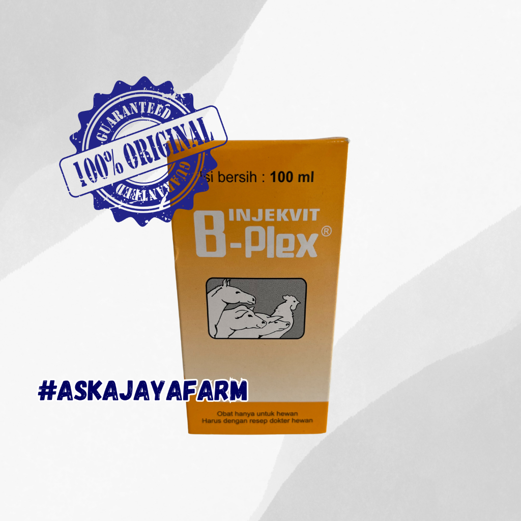 INJEKVIT B PLEX 100ML MEDION || Vitamin B Complex Ternak Sapi Kambing Domba