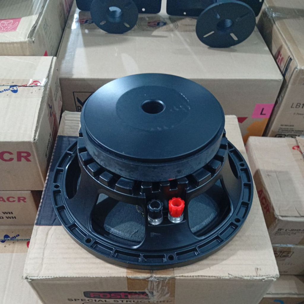 SPEAKER FOSTEX 10 INCH BLACK MAGIC FX10003