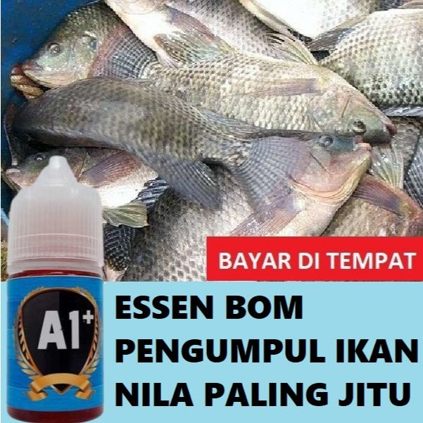 ESSEN BOM PENGUMPUL IKAN NILA PALING JITU ISI 3OML