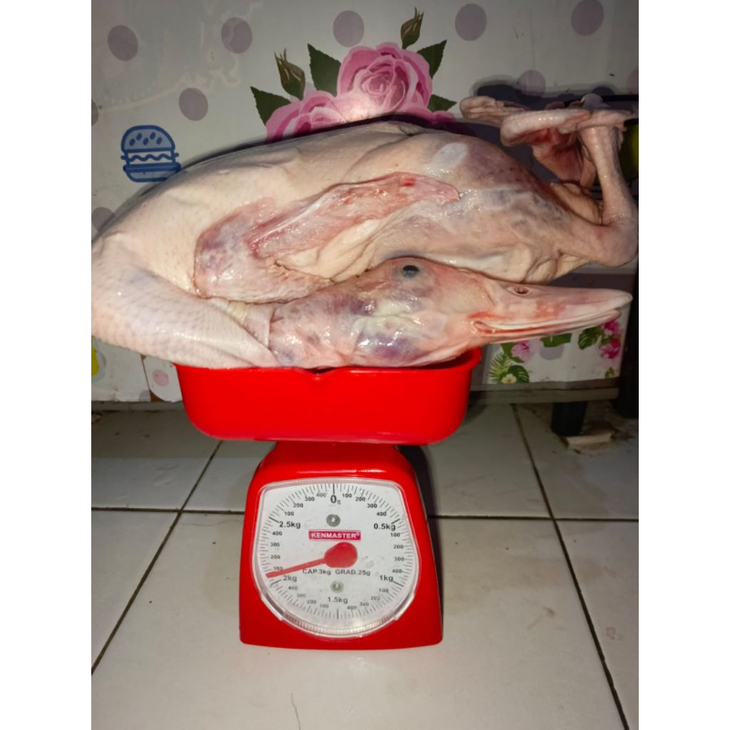 bebek Frozen 900g-2kg