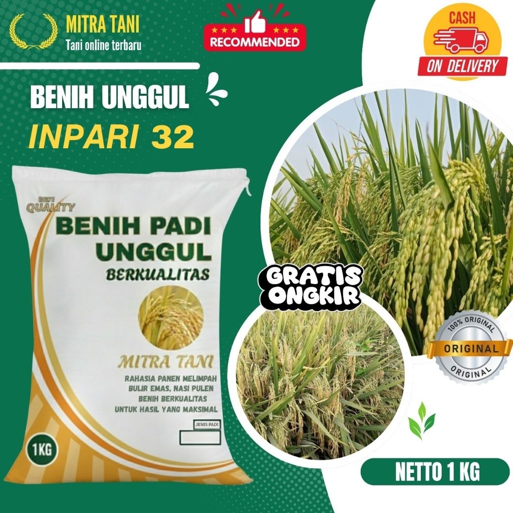 bibit padi inpari 32 kemasan 1 kg