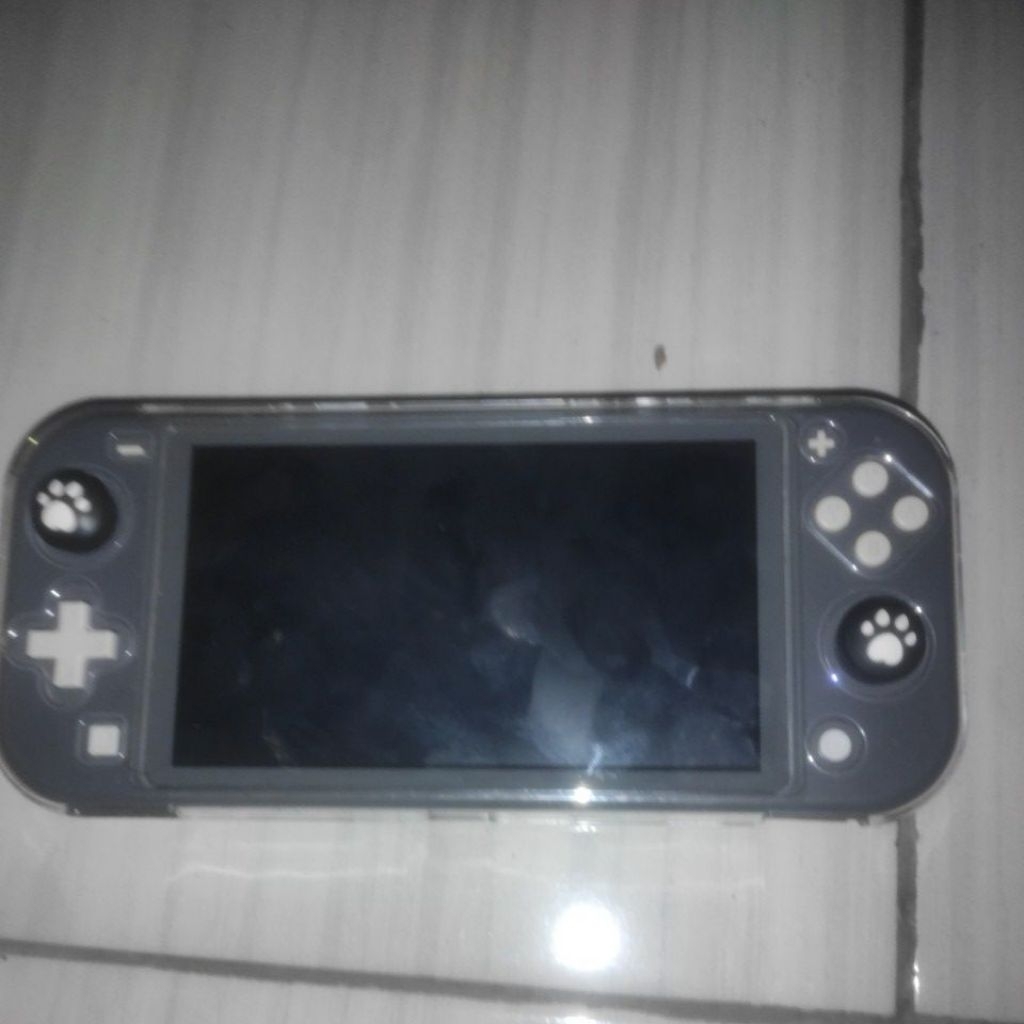 Nintendo Switch Lite CFW