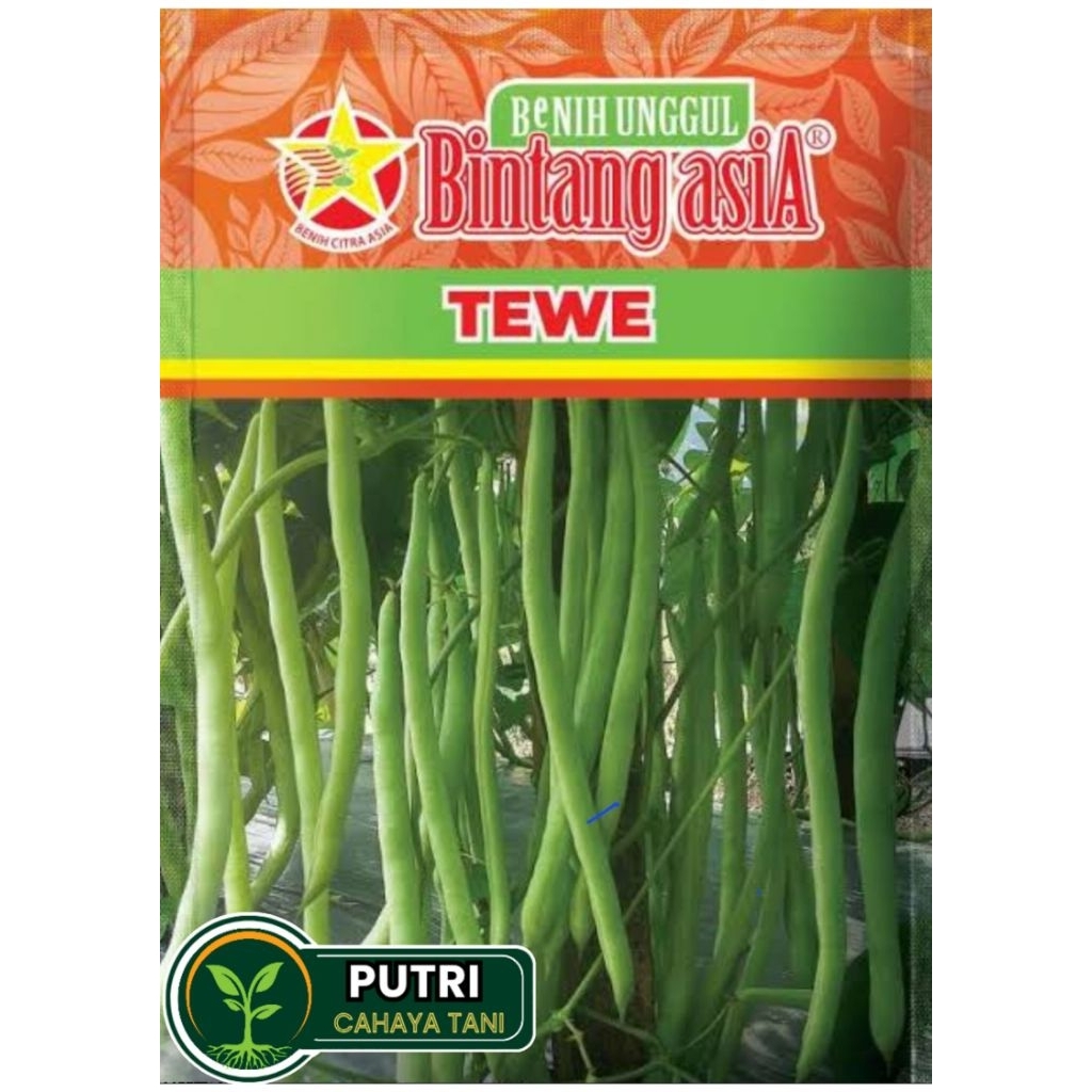 Benih Buncis TEWE 500 Gram BINTANG ASIA