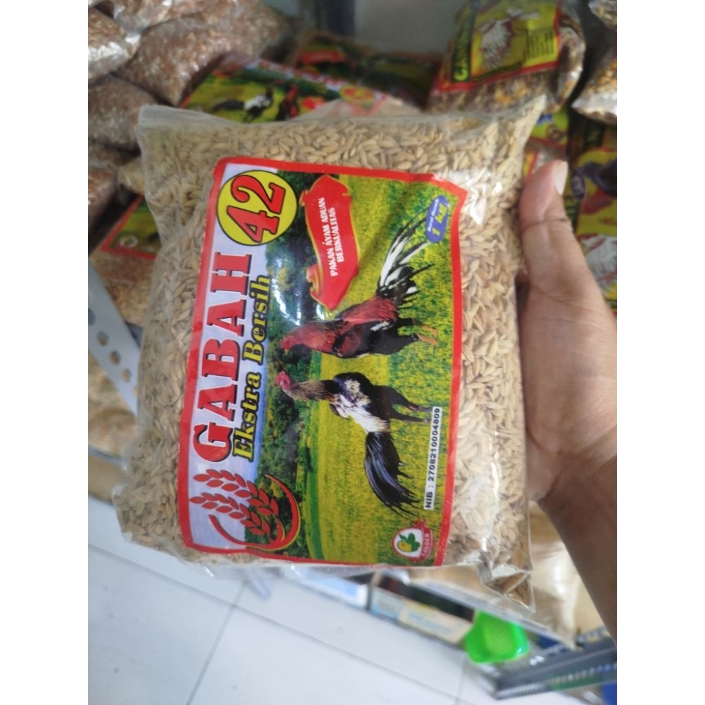 Gabah 42 pakan ternak Ayam bangkok 1kg