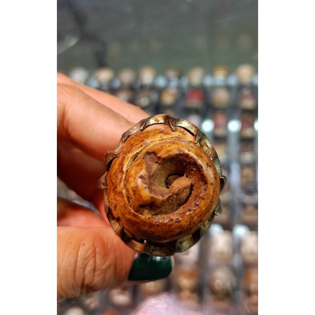 Cincin Fosil keong/Kool buntet(natural)
