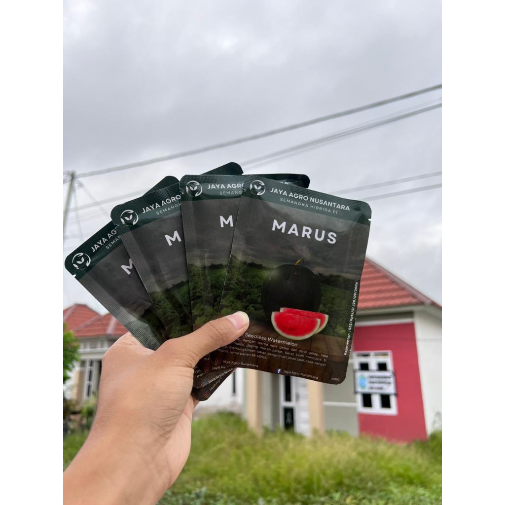 MARUS| F1 Hybrid Semangka Tanpa Biji| 300biji