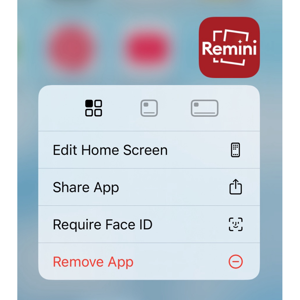 JASA REMINI PREMIUM