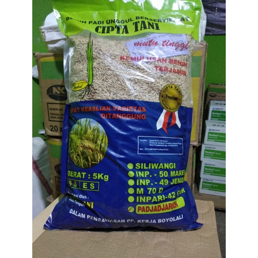 BENIH PADI PADJAJARAN CIPTA TANI 5KG