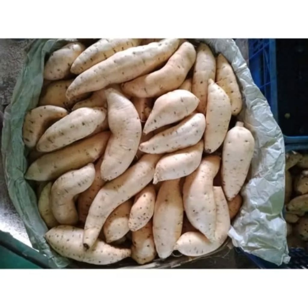 UBI CILEMBU ukuran sedang 1kg Ubi simadu manis legit