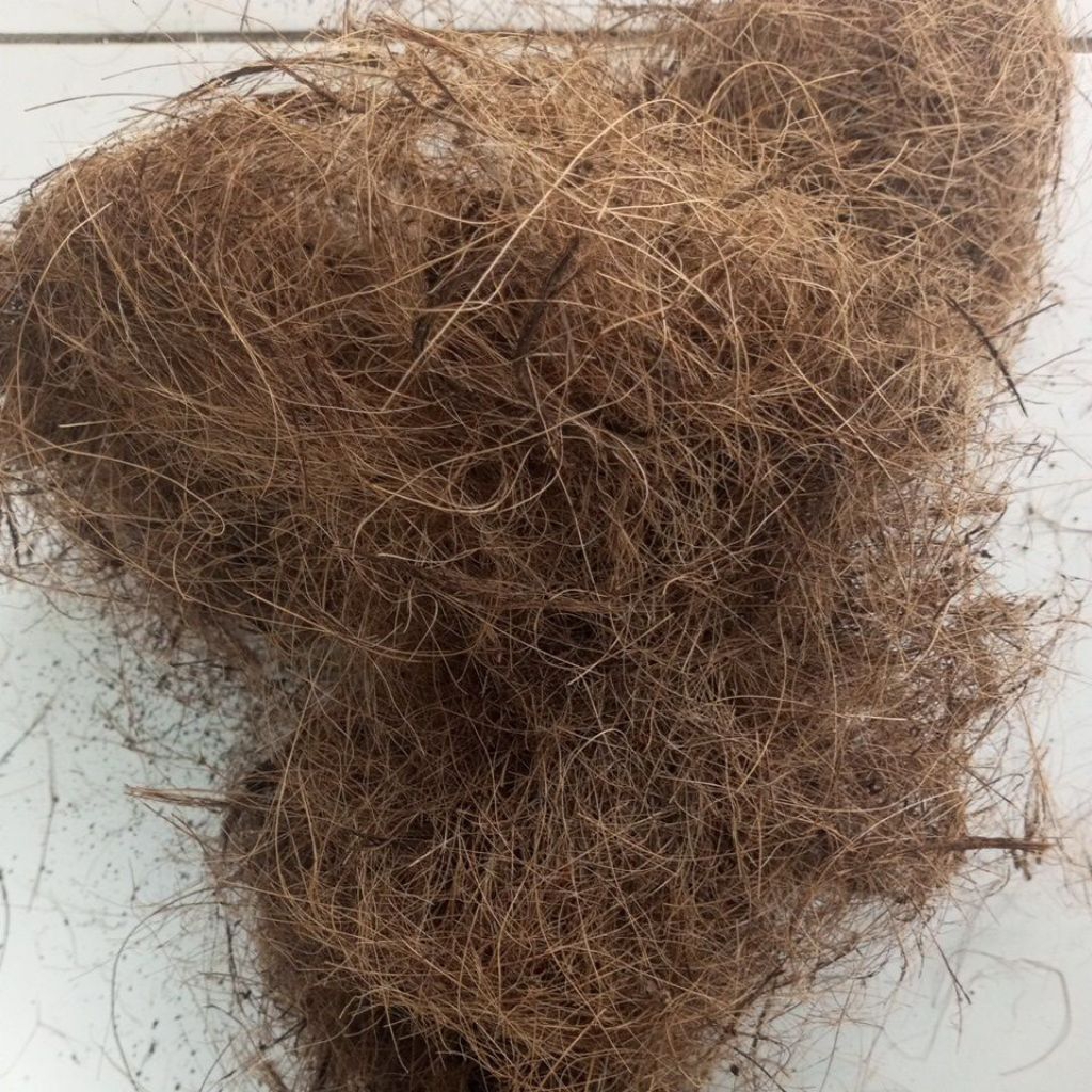 Coco Fiber