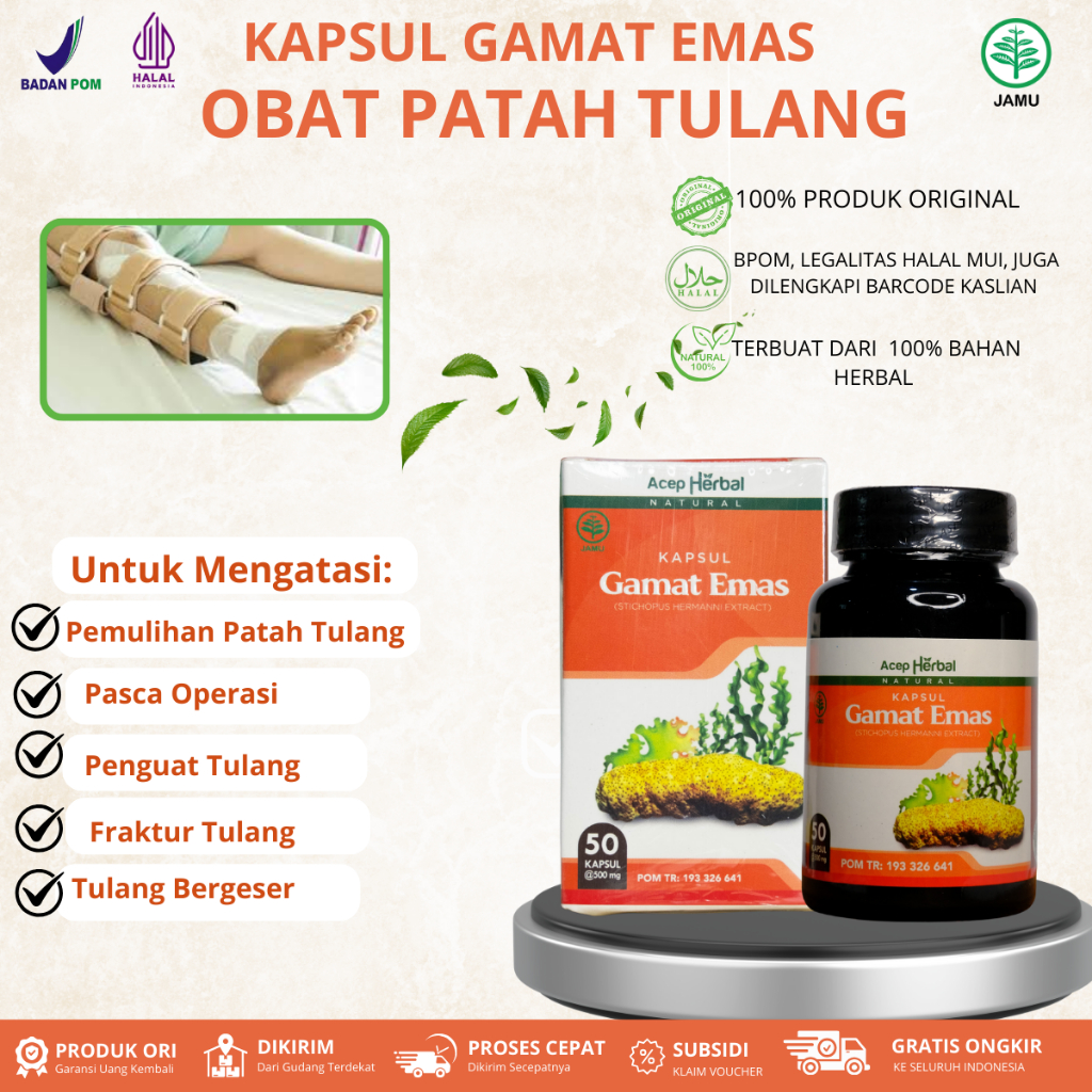Obat Patah Tulang, Pemulihan Patah Tulang, Patah Tulang Kaki, Patah Tulang Tangan, Penyambung Patah 