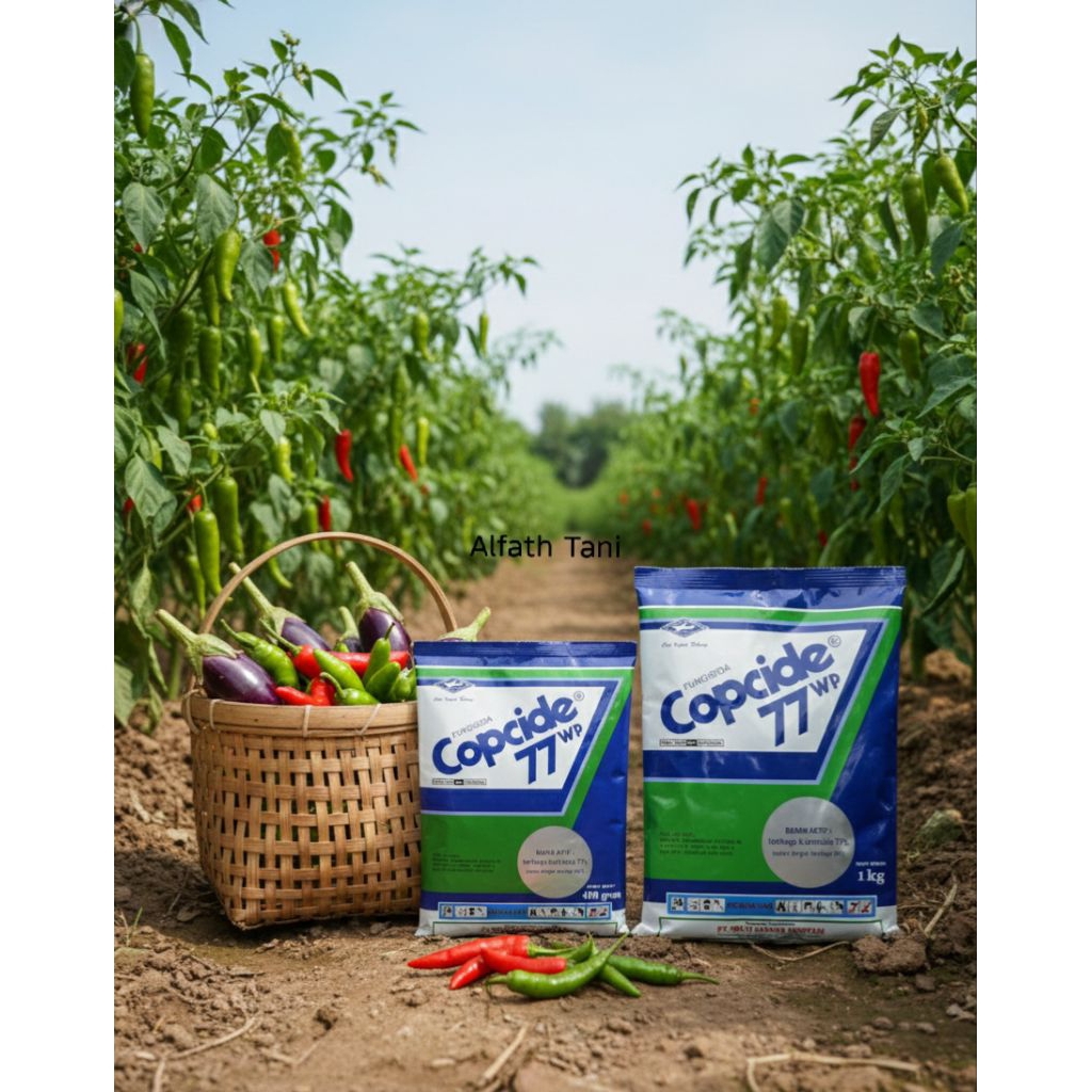 Fungisida Copcide 77WP