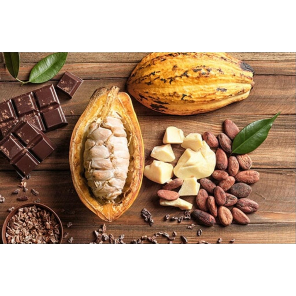 Biji Kakao/Biji Coklat