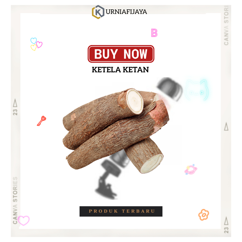 Best Seller Singkong Ketan Ketela Pohon 1kg