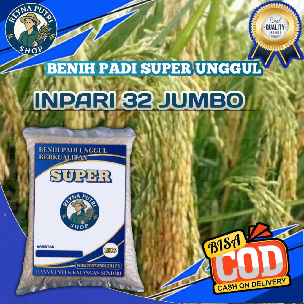 Benih padi inpari 32 jumbo bibit berkualitas 2KG